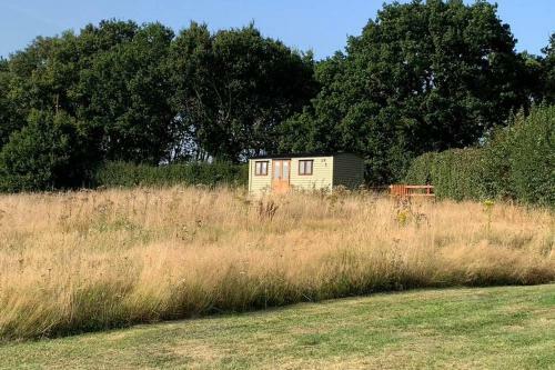 Idyllic Shepherds Hut, Bylaugh, In Private Wildflower Meadow