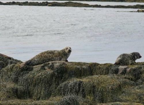 Eagle's Rest, Isle Of North Uist