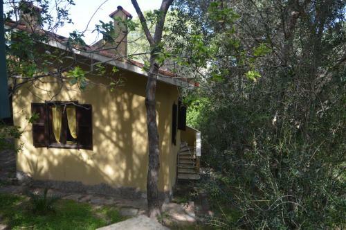 Casa Della Pineta