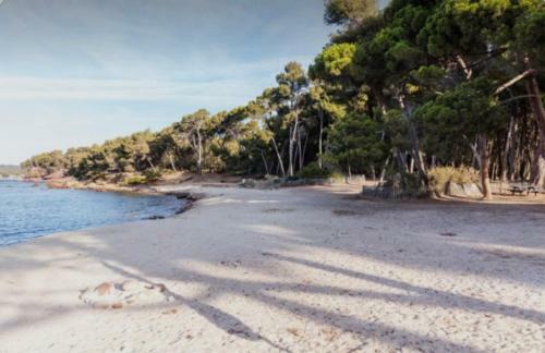 Apartamento Charmant Studio � Saint Mandrier Sur Mer