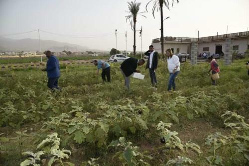 Agroturismo Safi Kitchen