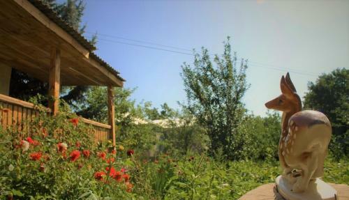 Armen's B&B