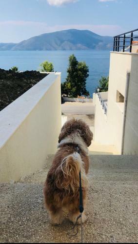 Luxury Sea View Apartment - Radhime Vlore