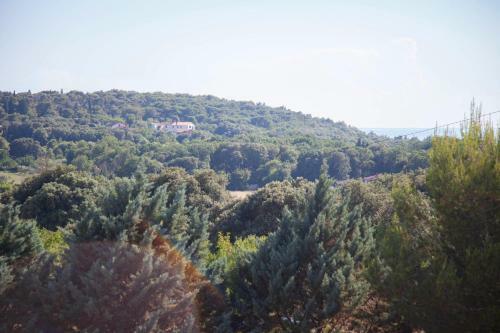 Apartments And Room Agata