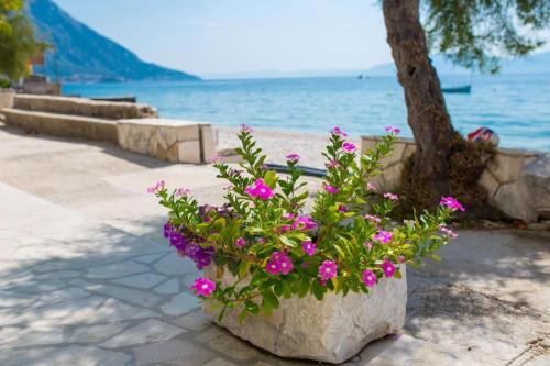Apartments Miramare