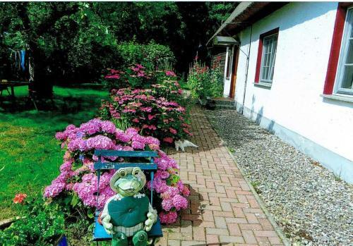 Apartamento Ruegen_fewo 266