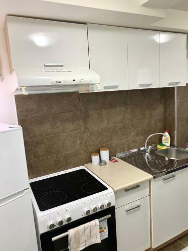 Apartman Milica