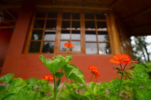 Apartamento Bungalow Cajamarca, Con Wifi Y Cochera