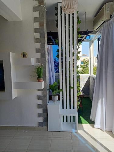 Apartamento ???? ??????