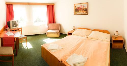 Hotel Motel Velk� Rybn�k