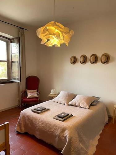 Villa Une Maison En Camargue