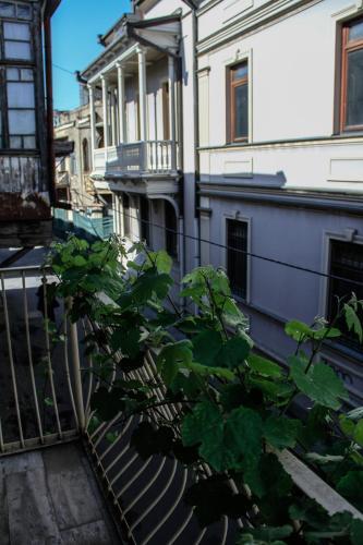 Hotel Konka