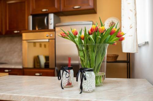 Golden Hope 4+1 Apartment Krk