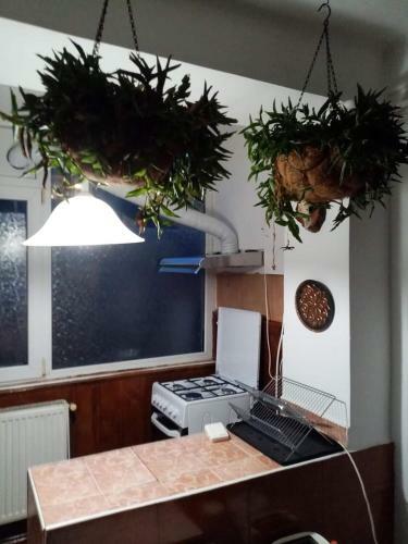 Apartamento Central Home