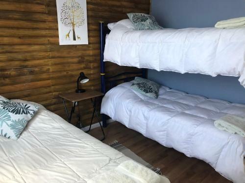 Apartamento Caba�as Nativos Patag�nicos