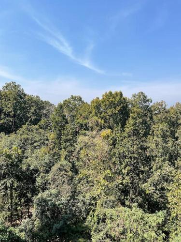 Apartamento Shakuntlam Home Stay