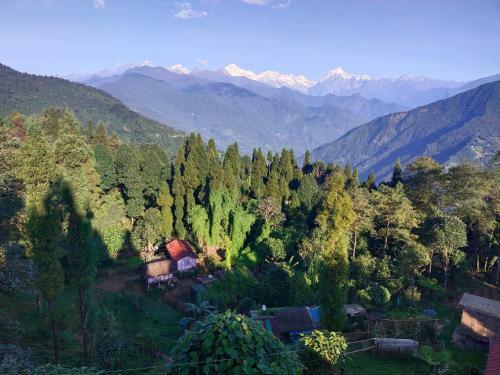 Himalayan Homestay