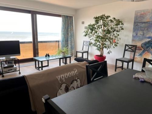 Apartamento Nemrod 801
