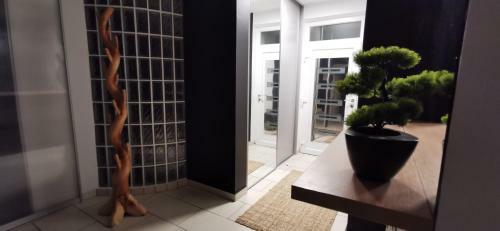 Villa Casa M