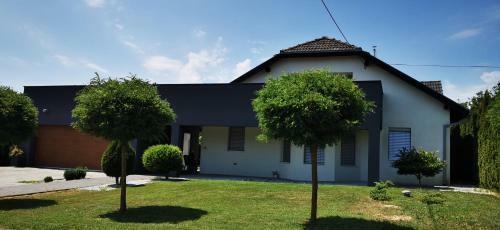 Villa Casa M