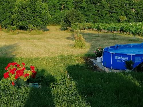 Apartamento Ferienhaus Im Weinberg