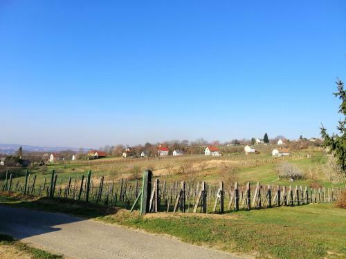 Apartamento Ferienhaus Im Weinberg