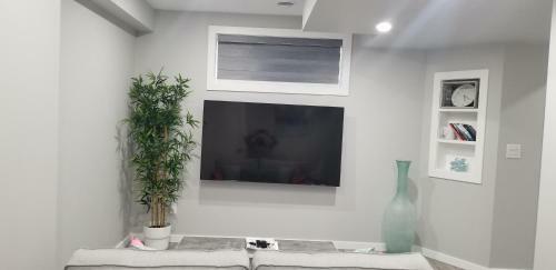 Luxurious 2 Bedroom Basement Suite