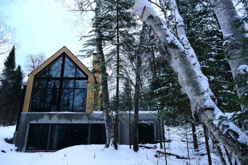 Contemporary + Spa & Sauna