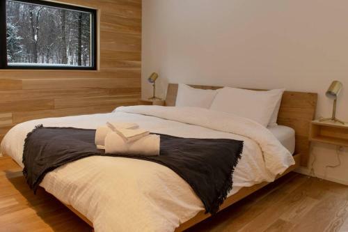 Contemporary + Spa & Sauna
