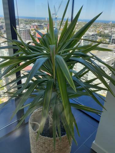 Apartamento Top Floor Stunning Views