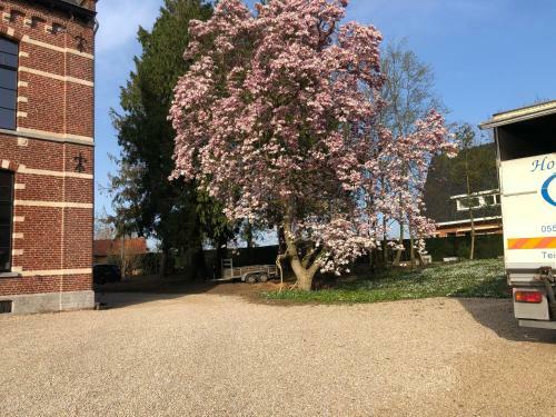 B&B Landhuis Hauwaart 80