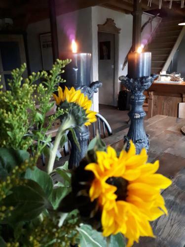Bed & Breakfast Le Hangar Des Voyageurs