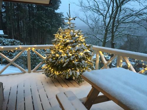 Charme � Bouillon