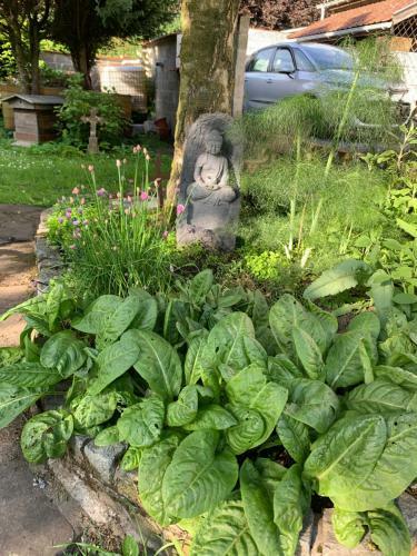 Bed & Breakfast Maison D'h�tes Entre Amis