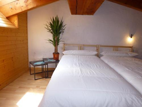 Apartamento D�plex Pescadors