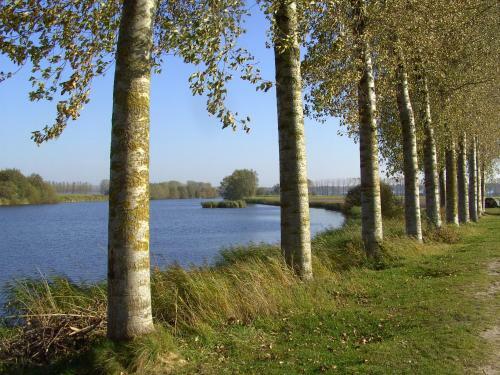 Bed & Breakfast de Zonnebrug Dijkhoeve