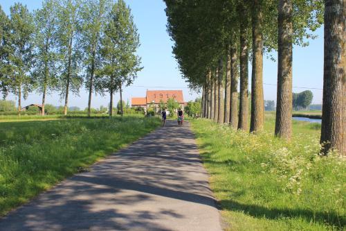 De Molenkreek
