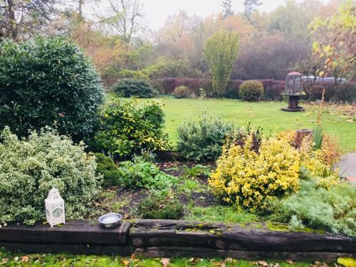 Bed & Breakfast Le Jardin Des Biches