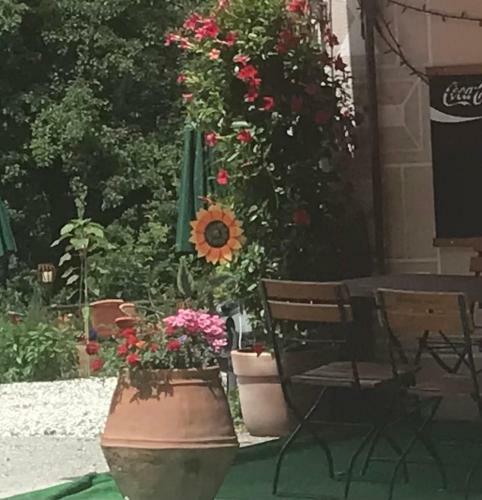 Apartamento Alte Post Mit Geschichte Und Restaurant