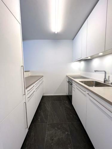 !new! Modern Crossing Apartment Facing Piz Rosatsch