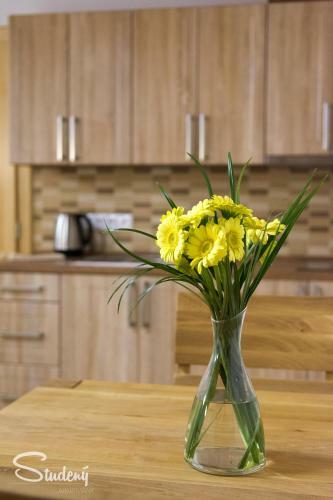 Apartm�ny Studen�