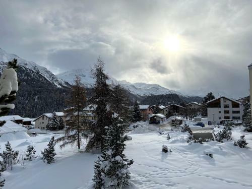 !new! Cosy Apartment Facing Piz Rosatsch