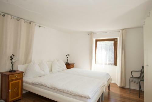 Hostal Ristorante Con Alloggi Alla Cantina