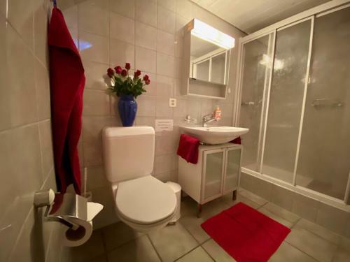 Apartamento Chasa Bazzi