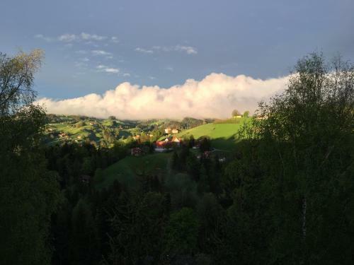 B&B B�hlerstrasse