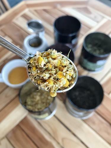 Hostal Wellness Penzion L�zn? Kvilda