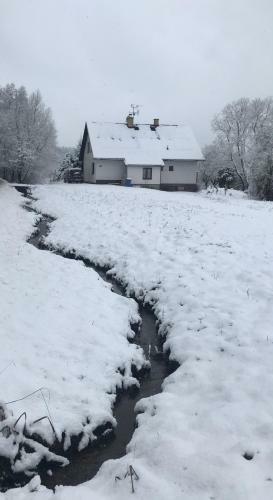 Apartm�n Ivko
