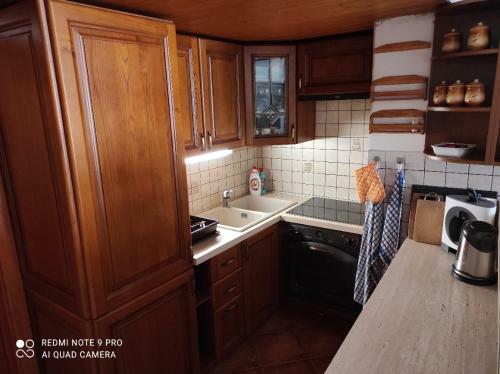 Apartm�n Pod S?�brnou Horou