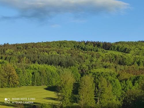 Apartm�n Pod S?�brnou Horou