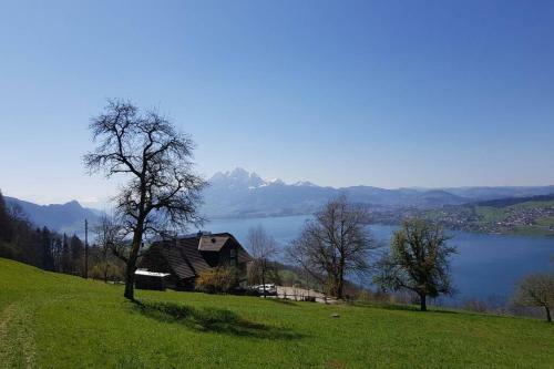 Apartamento Bauernhaus Mit Charme, Traumaussicht Und Sauna